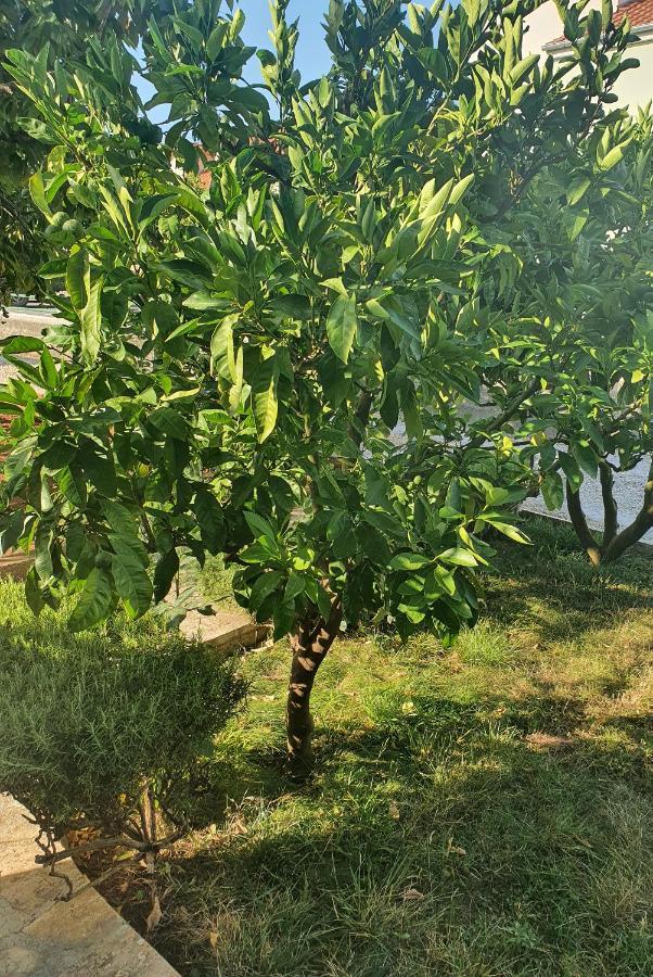 Apartman Maja Zadar Luaran gambar
